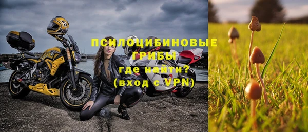 экстази Белокуриха